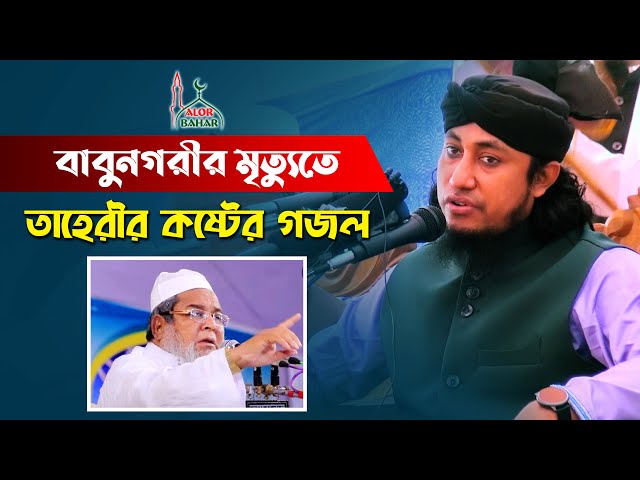 বাবুনগরীর মৃত্যতে তাহেরীর কষ্টের গজল junaid babunagari gojol Taheri