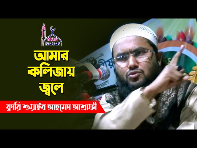 শুয়াইব আহম্মদ আশ্রাফীর কষ্টের কথা – সতর্ক থাকতে অনুরোধ Soaib Ahmed Ashrafi