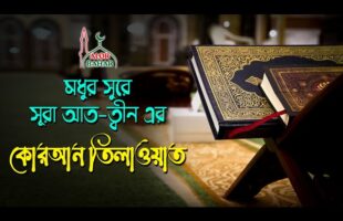 সুমধুর সুরে কোরআন তিলাওয়াত l সূরা আত-ত্বীন Surah At Tin  Quran Tilawat سُوۡرَةُ التِّین 2021