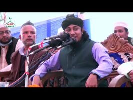 আফগান তালেবান যুদ্ধ নিয়ে তাহেরীর প্রতিবাদী গজল Taheri Gojol on Afghan Taliban Waz