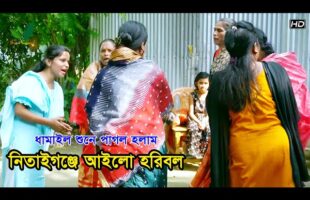 নিতাইগঞ্জে আইলো হরিবল – ভাললাগার ধামাইল গান Sylheti Dhamail Songs