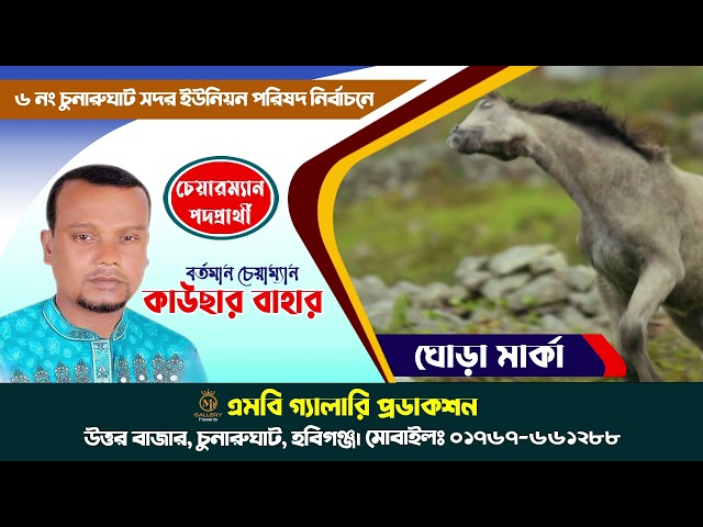 ঘোড়া মার্কার নির্বাচনী গান ৫ – কাউছার বাহার, চুনারুঘাট সদর ইউপি, হবিগঞ্জ Election Song Ghora Marka
