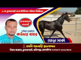 ঘোড়া মার্কার নির্বাচনী গান ৪ – কাউছার বাহার, চুনারুঘাট সদর ইউপি, হবিগঞ্জ। Election Song Ghora Marka