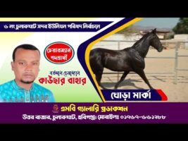 ঘোড়া মার্কার নির্বাচনী গান ৩ – কাউছার বাহার, চুনারুঘাট সদর ইউপি, চুনারুঘাট