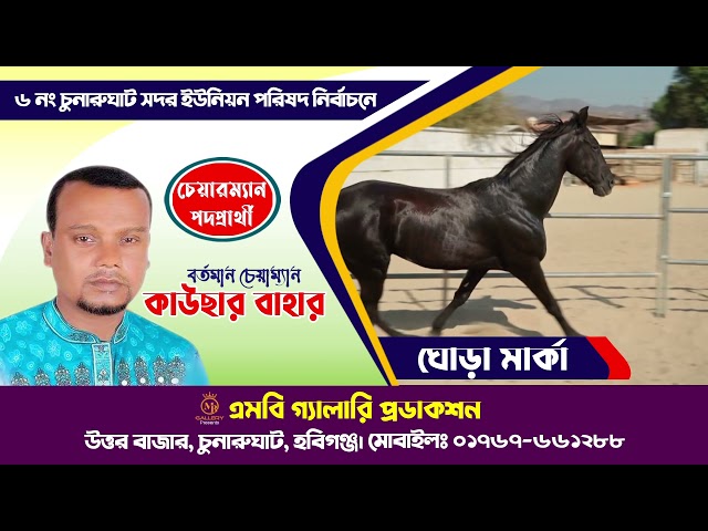 ঘোড়া মার্কার নির্বাচনী গান ৩ – কাউছার বাহার, চুনারুঘাট সদর ইউপি, চুনারুঘাট