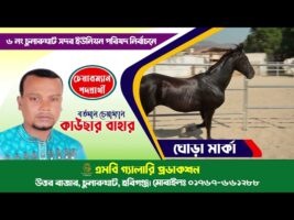 ঘোড়া মার্কার নির্বাচনী গান ২ – কাউছার বাহার, চুনারুঘাট সদর, চুনারুঘাট, হবিগঞ্জ। Ghora Election Song