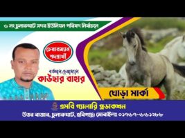 ঘোড়া মার্কার নির্বাচনী গান ১ – কাউছার বাহার, চুনারুঘাট সদর ইউপি, হবিগঞ্জ Election Song Ghora Marka