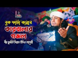 বুক ফাটা কান্নার কারবালার গজল Taheri Karbala Gojol 2022