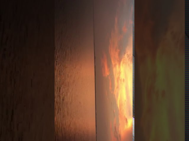 হাওর দেখে মুগ্ধ