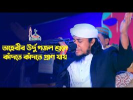 তাহেরীর উর্দু গজল শুনে কাঁদতে কাঁদতে প্রাণ যায় Aye Subz Gumbad Wale Taheri Urdu Gojol 2022