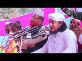 কারবালার ২টি গজলে কাঁদালেন তাহেরী Taheri Karbala Gojol