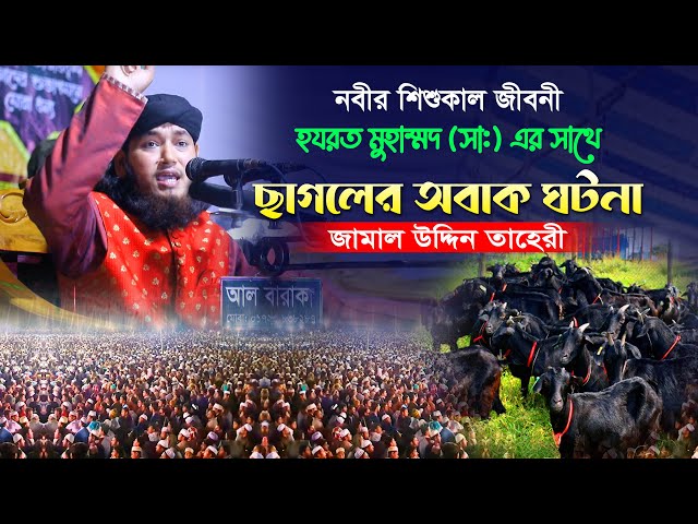 নবীর শিশুকাল জীবনী – হযরত মুহাম্মদ (সঃ) এর সাথে ছাগলের অবাক ঘটনা lজামাল উদ্দিন তাহেরীTaheri Full Waz