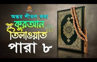 8 পারা – বাংলা অর্থসহ হিফজুল কুরআন তিলাওয়াত تلاوات القرآن  Hifzul Quran Tilawat
