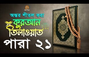 21 পারা – বাংলা অর্থসহ হিফজুল কুরআন তিলাওয়াত تلاوات القرآن  Hifzul Quran Tilawat