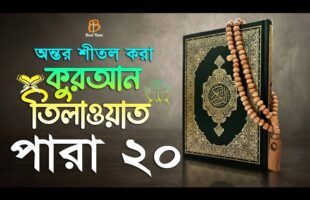 20 পারা – বাংলা অর্থসহ হিফজুল কুরআন তিলাওয়াত تلاوات القرآن  Hifzul Quran Tilawat