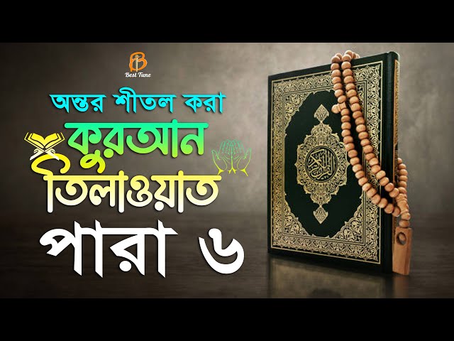৬ পারা – বাংলা অর্থসহ হিফজুল কুরআন তিলাওয়াত القرآن الكريم الفقرة السادسة 6 Para Hifzul Quran Tilawat
