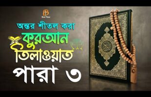 অন্তর শীতল করা হিফজুল কুরআন তিলাওয়াত ৩য় পারা Quran Tilawat Para 3 l Best Tune