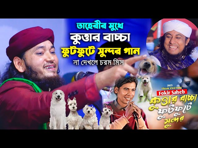 তাহেরির মুখে কুত্তার বাচ্চা ফুটফুটে সুন্দর গান – না দেখলে চরম মিস jamal uddin taheri kuttar bacca
