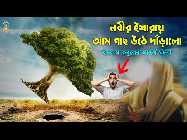 নবীর (সাঃ) ইশারায় আম গাছ উঠে দাঁড়ালো ইসলাম কবুলের আশ্চর্য ঘটনা surprising event acceptance of Islam