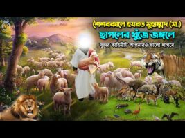 শৈশবকালে হযরত মুহাম্মদ সা. ছাগলের খোঁজে জঙ্গলে – একটি সুন্দর কাহিনী Muhammad Sw. Chagol Chrano
