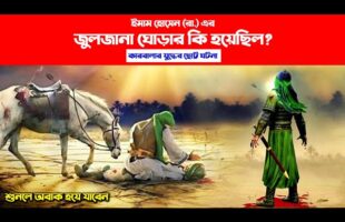 কারবালার যুদ্ধে ইমাম হোসেনের জুলজানা ঘোড়ার কি হয়েছিল imam hussain juljana horse