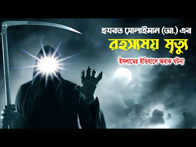 হযরত সোলাইমা (আঃ) এর রহস্যময় মৃত্যুর l ইসলামের ইতিহাসে অবাক ঘটনা l sulaiman nobir jiboni