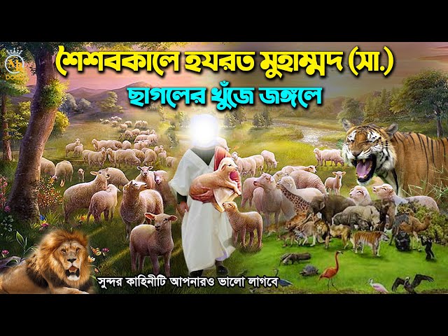 শৈশবকালে হযরত মুহাম্মদ সা. ছাগলের খোঁজে জঙ্গলে – একটি সুন্দর কাহিনী Muhammad Sw. Chagol Chrano