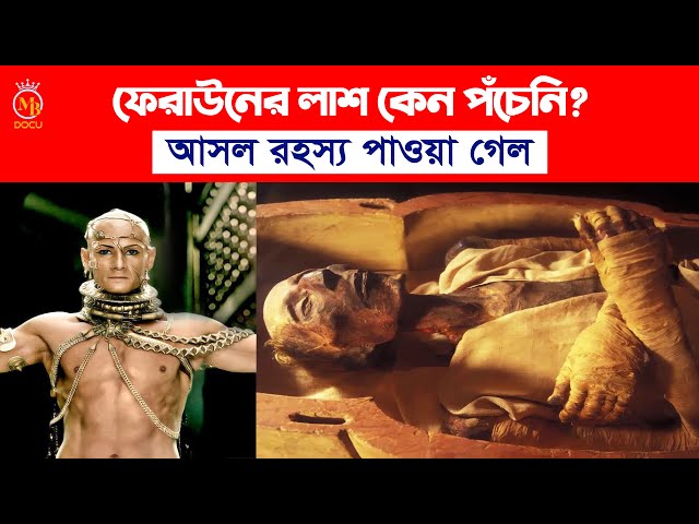 ফেরাউনের লাশ কেন পঁচেনি ? আসল রহস্য পাওয়া গেল ferauner kahini bangla