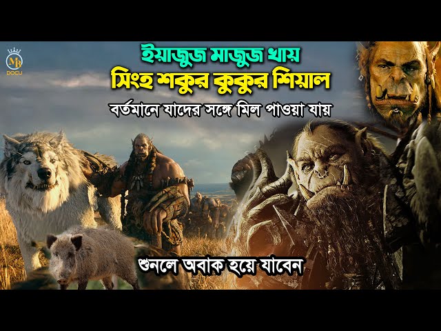 ইয়াজুজ মাজুজ খায় সিংহ শকুর কুকুর শিয়াল – বর্তমানে যাদের সঙ্গে মিল পাওয়া যায় Yajuj Majujer Kahini