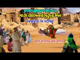 হযরত মুহাম্মদ (সাঃ) এর মাতা আমেনার মৃৃত্যুর দিন কি ঘটেছিলো ? শুনলে অবাক হয়ে যাবেন ! Amena’s death