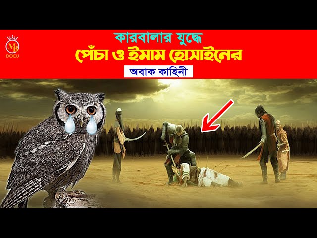 কারবালার যুদ্ধে পেঁচা ও ইমাম হোসেনের কাহিনী karbalar kahini imam hussain Pecha karbala