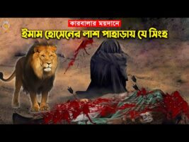 কারবালার ময়দানে ইমাম হোসেনের লাশ পাহাড়ায় যে সিংহ – Imam Hossain Karbalar kahini