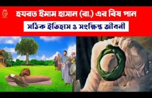 হযরত হাসান (রাঃ) এর বিষ পানের সঠিক ইতিহাস ও সংক্ষিপ্ত জীবনী imam hasan bish pan & biography