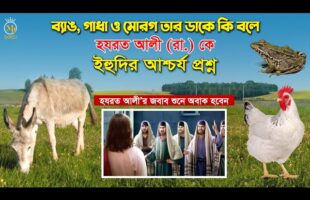 হযরত আলীকে ইহুদির প্রশ্ন – ব্যাঙ, গাধা ও মোরগ তার ডাকে কি বলে? Hazrat Ali Vs Ihudi