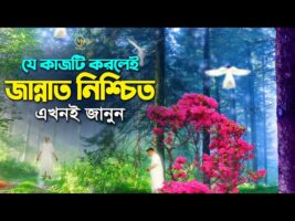 যে কাজটি করলেই জান্নাত নিশ্চিত – এখুনি জানুন নইলে বড় ভুল হয়ে যাবে What to do to go to heaven?