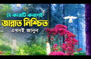 যে কাজটি করলেই জান্নাত নিশ্চিত – এখুনি জানুন নইলে বড় ভুল হয়ে যাবে What to do to go to heaven?