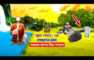 মুসা (আঃ) এর গোছলের সময় তাঁর কাপড় নিয়ে পাথরের পলায়ন – শুনলে অবাক হয়ে যাবেন Musa and the Stone