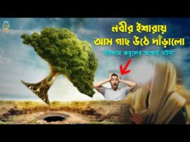 নবীর (সাঃ) ইশারায় আম গাছ উঠে দাঁড়ালো ইসলাম কবুলের আশ্চর্য ঘটনা surprising event acceptance of Islam